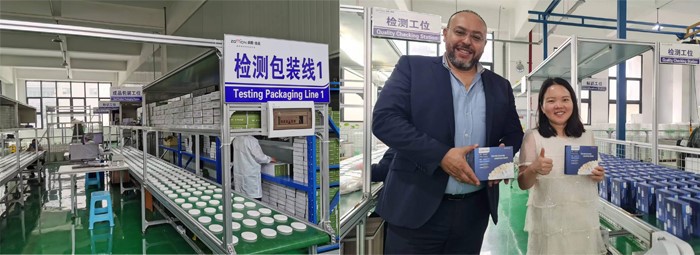 Denture Ceramic Zirconia Blank factory Denture Ceramic Zirconia Blank factory